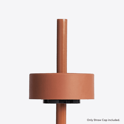 LuxePressKitchen Straw Cap